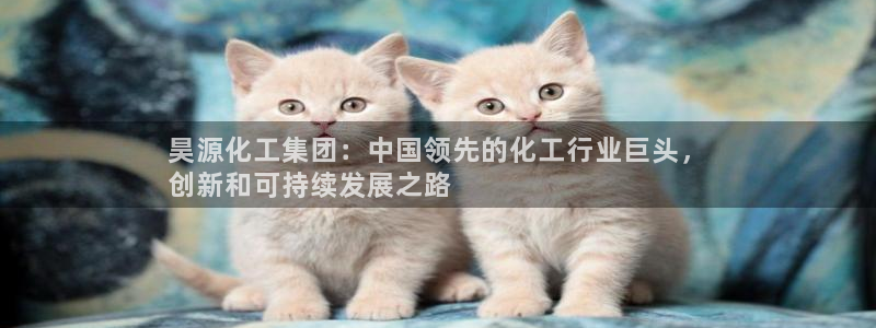 球盟会登录平台入口
