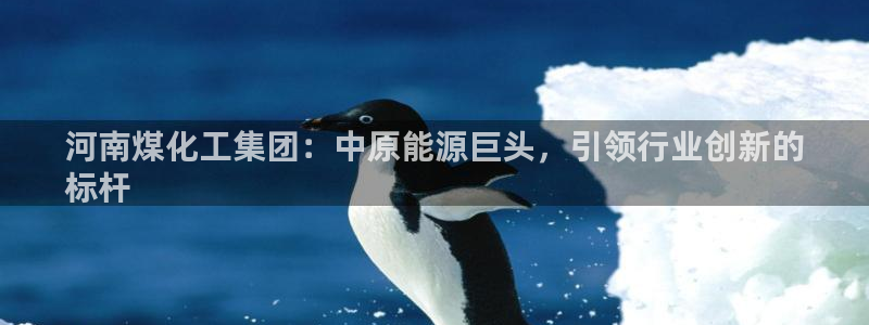 球盟会能提现吗