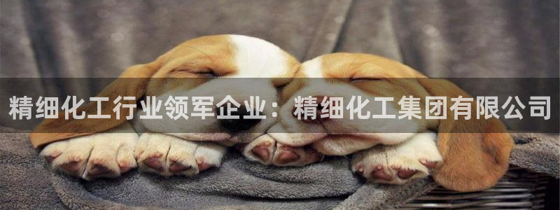 球盟会qmh官网