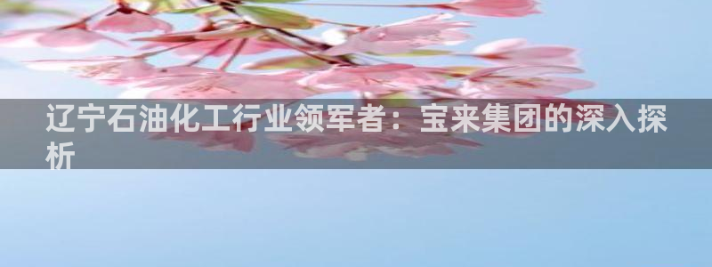 球盟会官网入口