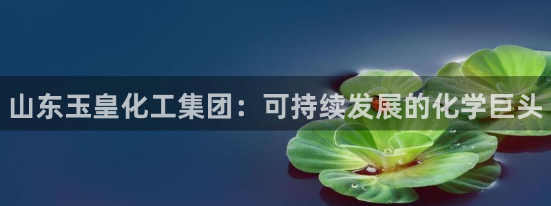 球盟会有没有黑单的活动
