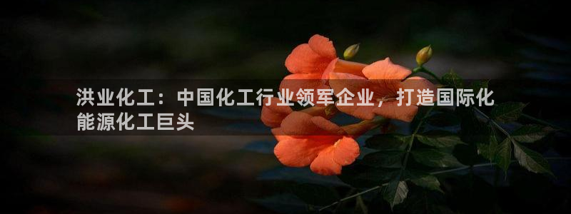 球盟会最新