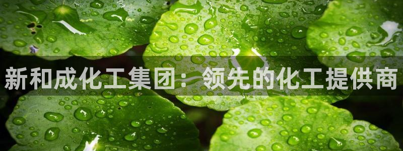 球盟会综合体育平台怎么样