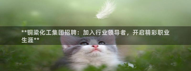 球盟会手机网页版