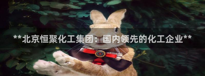 球盟会进不去吗
