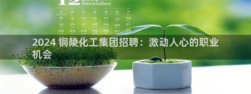 球盟会黑款吗