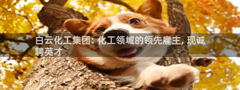 球盟会qmh网址