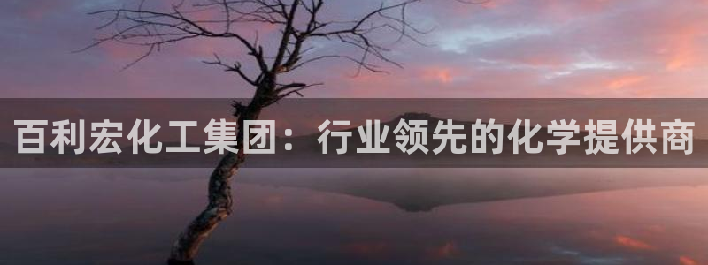 球盟会入口