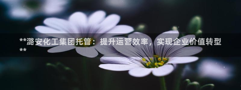 球盟会和中欧：**潞安化工集团托管：提升运营效率，实现企业价
