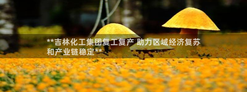 千亿球盟会乐玩：**吉林化工集团复工复产 助力区域经济复苏
