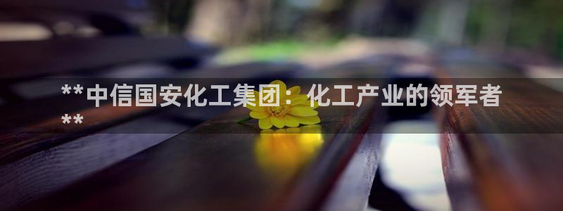 球盟会几点玩合适：**中信国安化工集团：化工产业的领军者
*