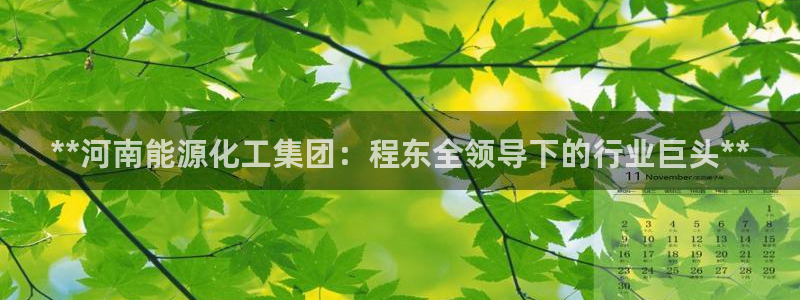 球盟会官方客服：**河南能源化工集团：程东全领导下的行业巨头