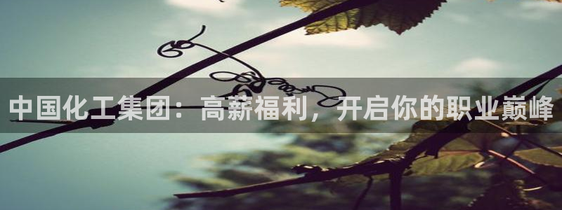 球盟会连接：中国化工集团：高薪福利，开启你的职业巅峰
