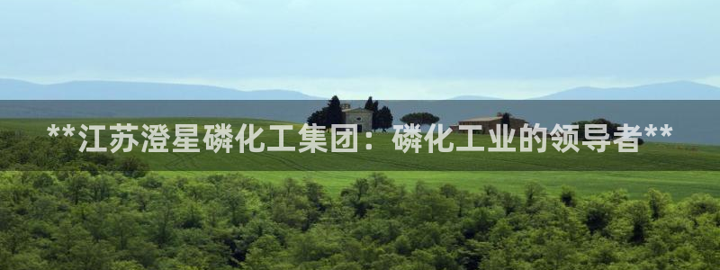 球盟会头号玩家是谁：**江苏澄星磷化工集团：磷化工业的领导者