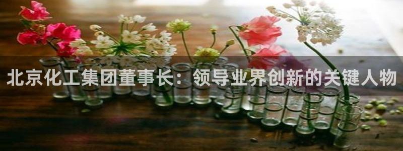 球盟会app最新地址下载安装：北京化工集团董事长：领导业界创
