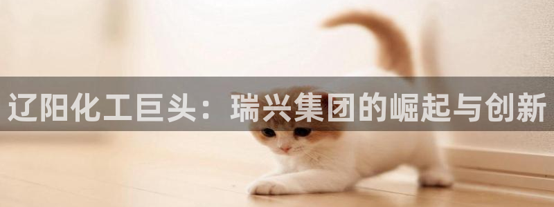 球盟会最新活动：辽阳化工巨头：瑞兴集团的崛起与创新