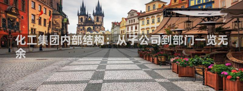 千亿球盟会乐玩：化工集团内部结构：从子公司到部门一览无
余