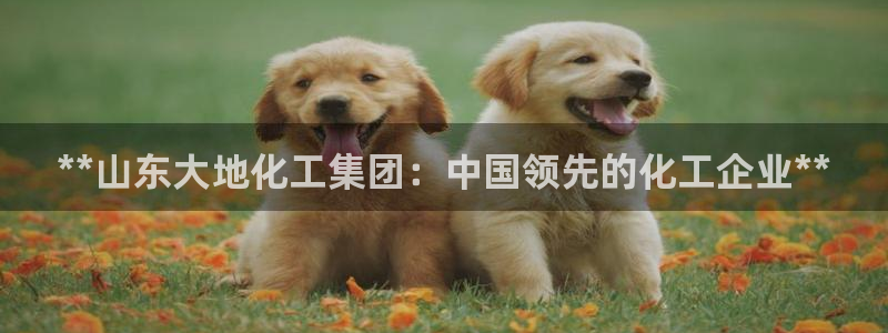 球盟会官方网入口：**山东大地化工集团：中国领先的化工企业*