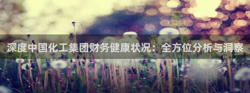 球盟会官方登录平台入口：深度中国化工集团财务健康状况：全方位
