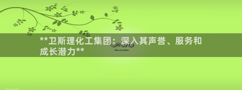 千亿球盟会乐玩：**卫斯理化工集团：深入其声誉、服务和
成长