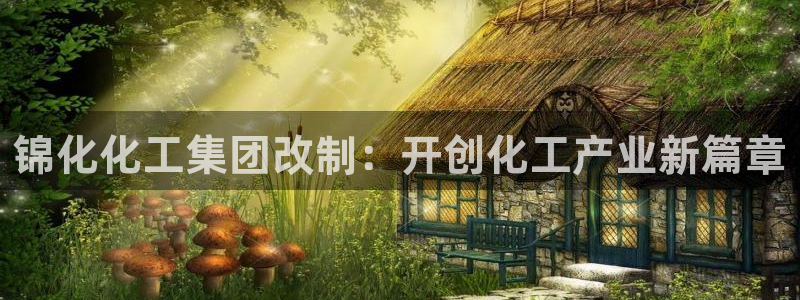 球盟会官网app下载：锦化化工集团改制：开创化工产业新篇章