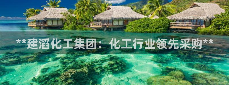 球盟会网页登录：**建滔化工集团：化工行业领先采购**
