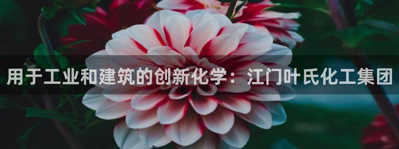 球盟会地址：用于工业和建筑的创新化学：江门叶氏化工集团
