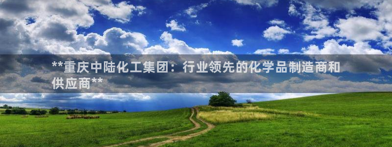 球盟会网页登录app下载地址：**重庆中陆化工集团：行业领先