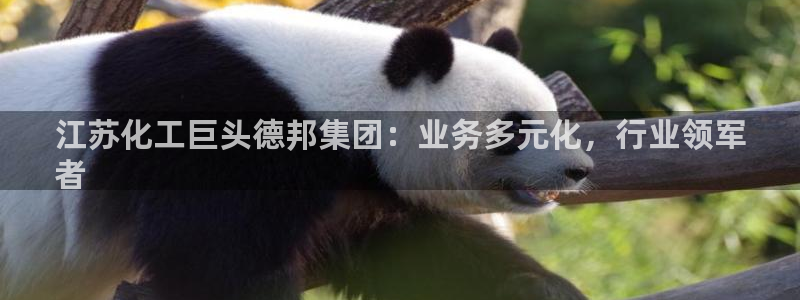 球盟会和中欧：江苏化工巨头德邦集团：业务多元化，行业领军
者