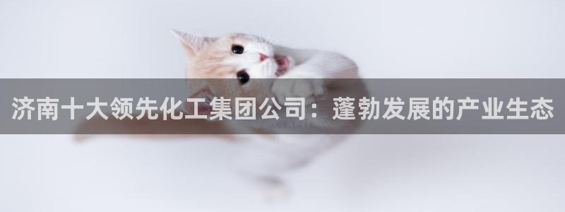 球盟会贴吧：济南十大领先化工集团公司：蓬勃发展的产业生态