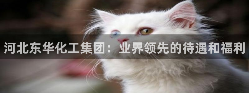 球盟会app网址多少：河北东华化工集团：业界领先的待遇和福利