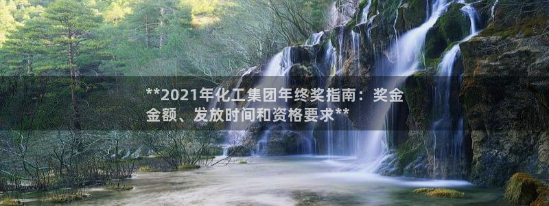 球盟会官方最新入口：**2021年化工集团年终奖指南：奖金
