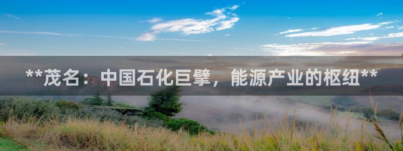 球盟会app最新地址在哪找：**茂名：中国石化巨擘，能源产业