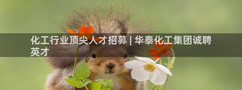 球盟会APP下载：化工行业顶尖人才招募 | 华泰化工集团诚聘
