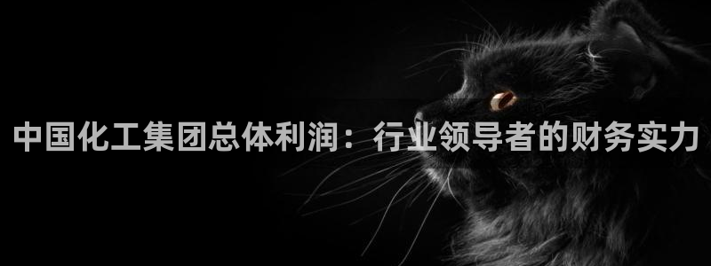 球盟会官方网址入口：中国化工集团总体利润：行业领导者的财务实