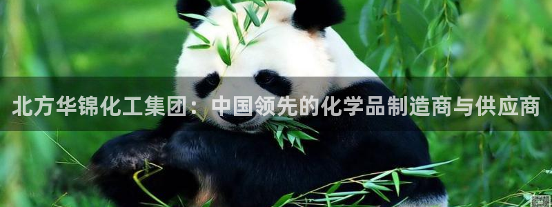 球盟会登录入口：北方华锦化工集团：中国领先的化学品制造商与供