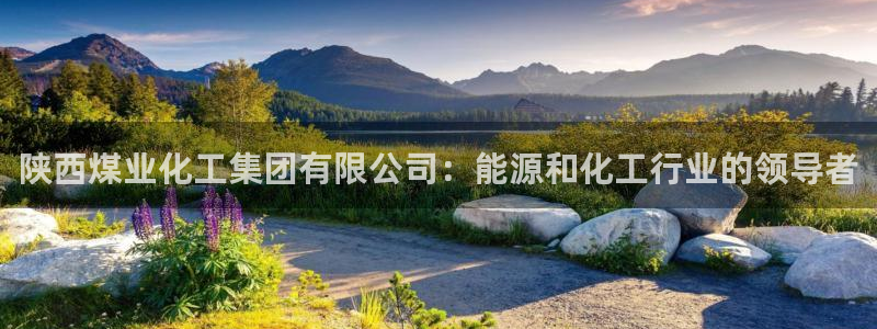 球盟会最新：陕西煤业化工集团有限公司：能源和化工行业的领导者
