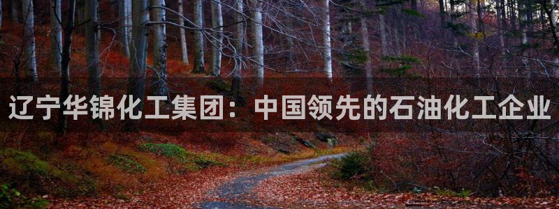 球盟会官网app下载：辽宁华锦化工集团：中国领先的石油化工企