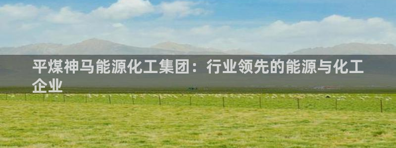 球盟会官方网站app：平煤神马能源化工集团：行业领先的能源与