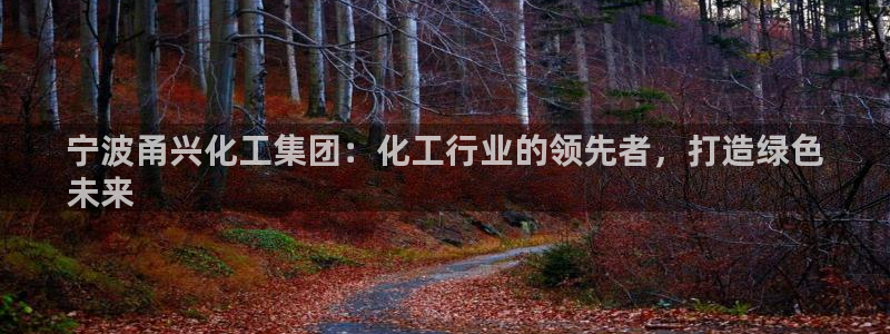 球盟会体验金球奖吗：宁波甬兴化工集团：化工行业的领先者，打造