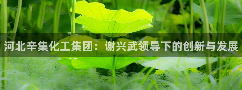 球盟会官网网页版