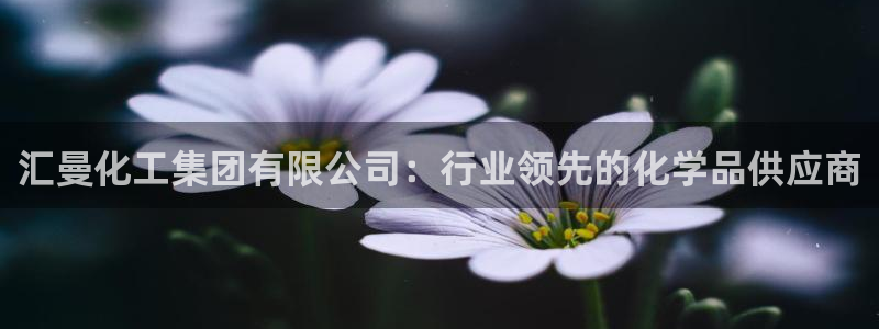 球盟会APP最新地址：汇曼化工集团有限公司：行业领先的化学品