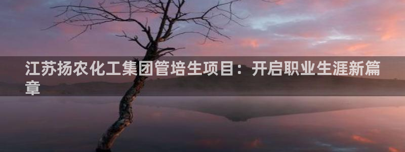 球盟会黑嘛：江苏扬农化工集团管培生项目：开启职业生涯新篇
章