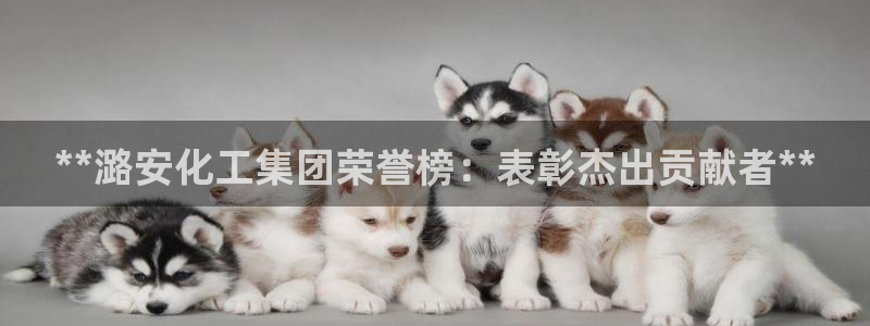 球盟会头号玩家：**潞安化工集团荣誉榜：表彰杰出贡献者**