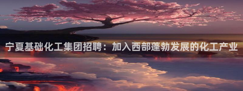 球盟会综合app下载：宁夏基础化工集团招聘：加入西部蓬勃发展