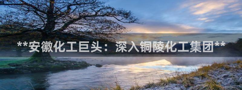 球盟会在线官网：**安徽化工巨头：深入铜陵化工集团**