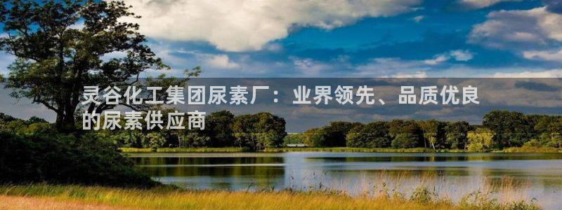 球盟会优惠码：灵谷化工集团尿素厂：业界领先、品质优良
的尿素