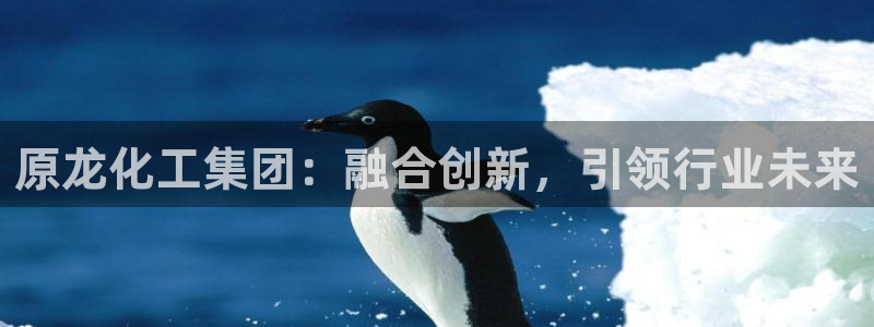 球盟会官网登录入口：原龙化工集团：融合创新，引领行业未来