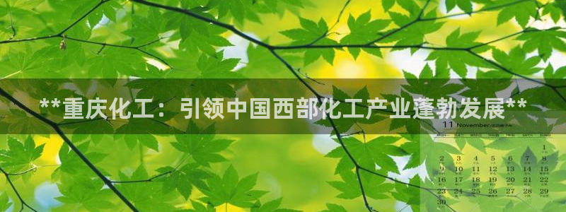 球盟会官方下载：**重庆化工：引领中国西部化工产业蓬勃发展*