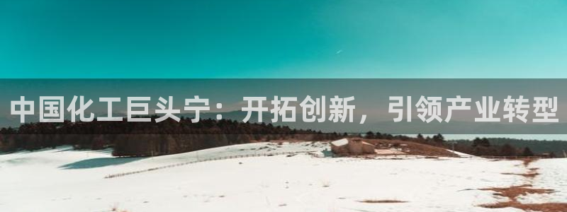球盟会论坛：中国化工巨头宁：开拓创新，引领产业转型